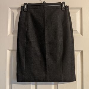 Express Pencil Skirt